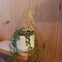 WhatsApp Image 2026-04-04 at 19.25.36.webp