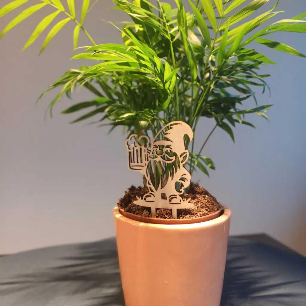 WhatsApp Image 2026-04-04 at 19.25.36 (1).webp