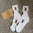 WhatsApp Image 2026-04-27 at 10.10.52.webp