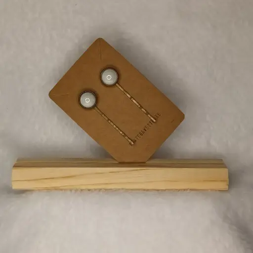 Haarspeldjes - schuivertjes